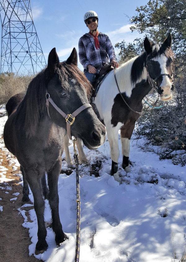 Meet Our Team, Our Horses, And Our Sponsors – Bethany's Gait