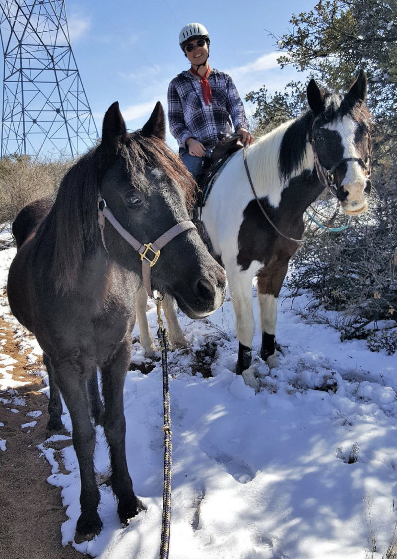 Meet Our Team, Our Horses, and Our Sponsors – Bethany's Gait